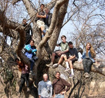 Eleven people posing for a picture on a giant tree