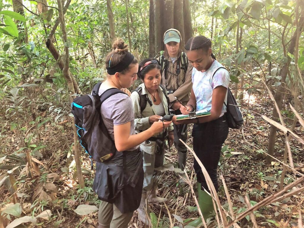 A Student Group Discussing in the Middle of the Forest