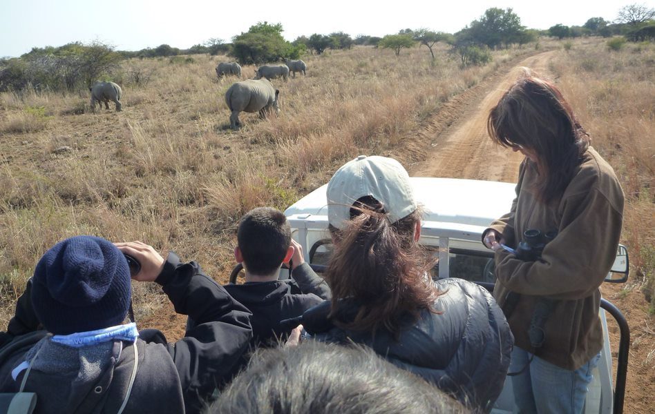 An Animal Walking on a Dried Land With Visitors