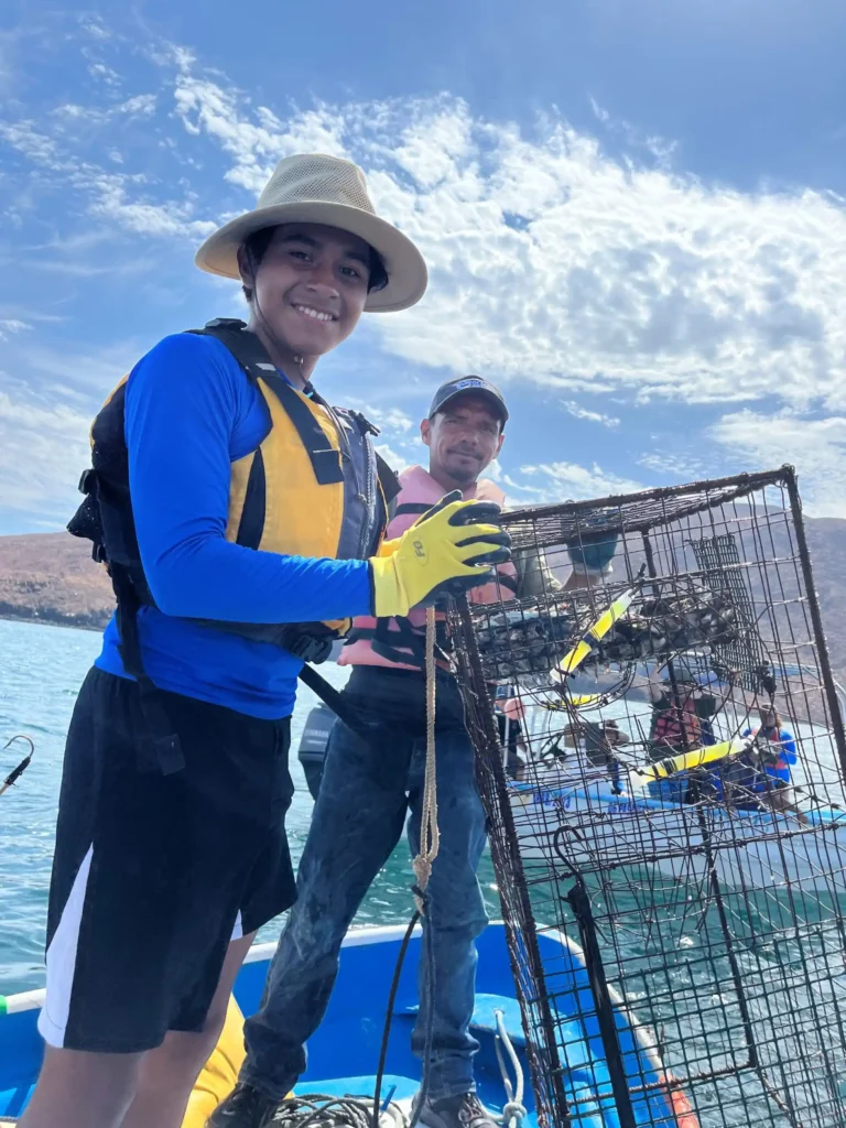 Dropping Ocean Traps Two Net With Fishes